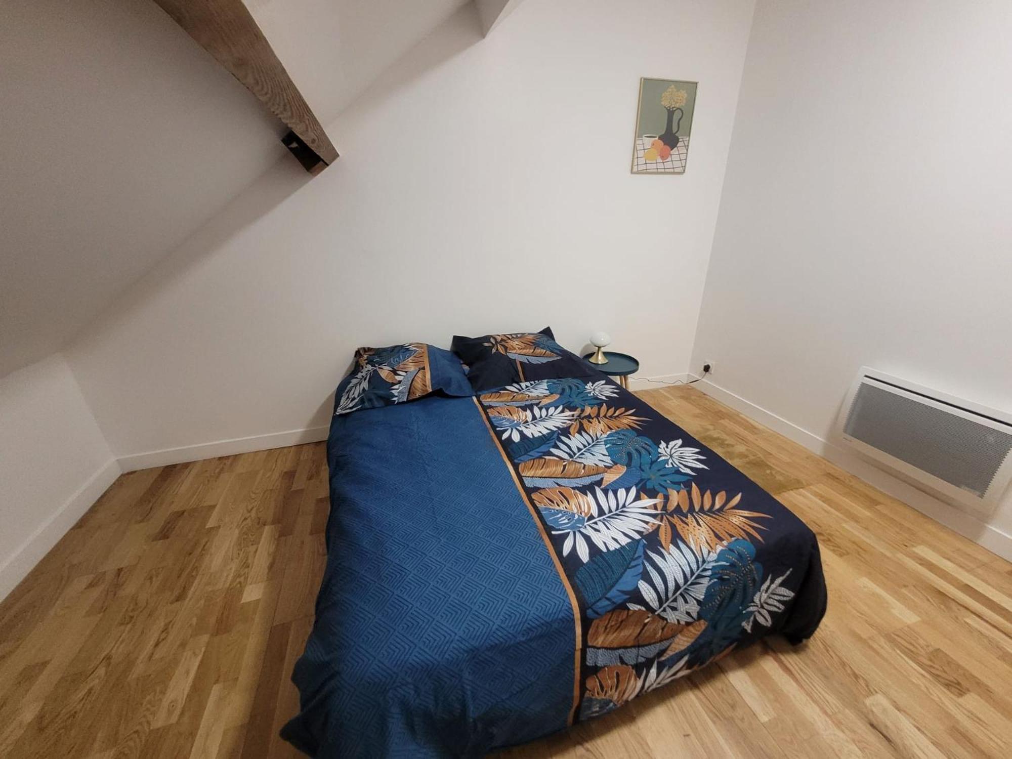 Appartements A Meaux - Proche De Disney Стая снимка